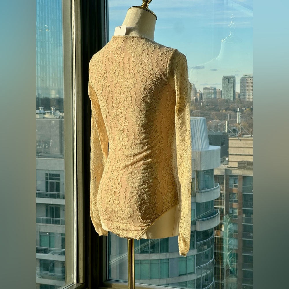 Zimmermann Beige Lace Long-Sleeve Bodysuit - Picture 7 of 16